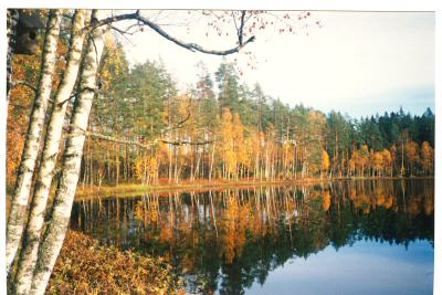 Rekitaipaleenjärven rantaa Joutsijärven pohjoispuolisessa erämaassa, lokakuussa 2000 valok. Timo Korkeaoja